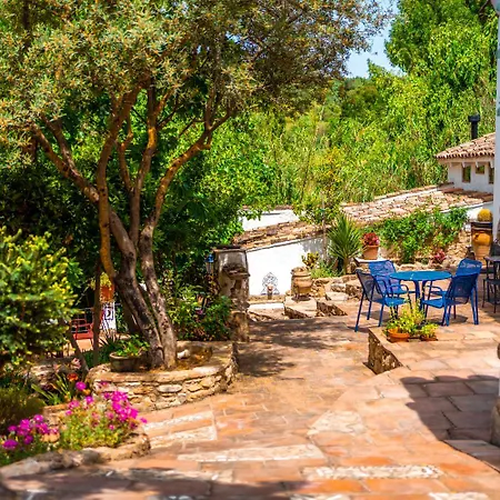 Guest house Cinco Lunas Vegetarian Zahara De La Sierra
