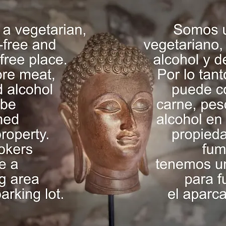 Cinco Lunas Vegetarian *